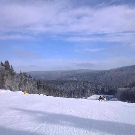 Apartment In Schnett Near The Ski Area Luaran gambar